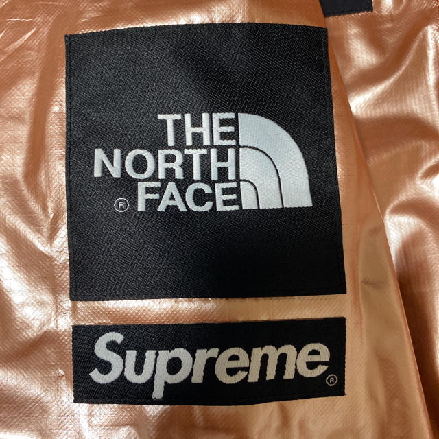 supreme metallic mountain parka