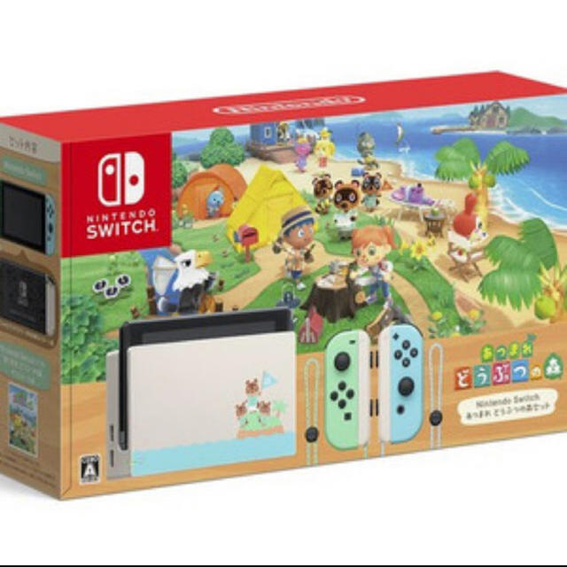 Nintendo Switch - どうぶつの森　Nintendo switch 本体　印なし　新品