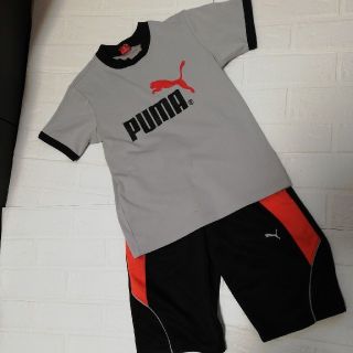 プーマ(PUMA)のPUMA ☆ T シャツ・パンツセット  140(ウェア)