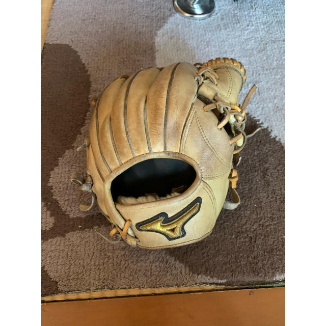 ミズノプログローブ