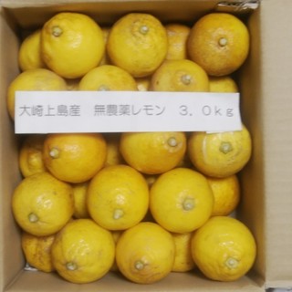 広島県大崎上島産無農薬レモン3.0kg(フルーツ)