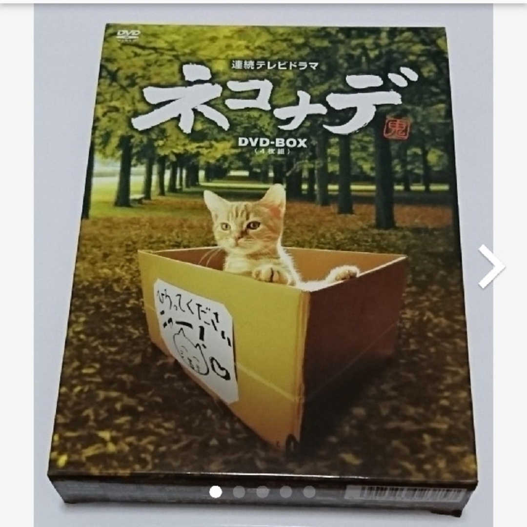 4時間30分ディスク枚数「ネコナデ」 DVD-BOX(4枚組) 連続テレビドラマ　猫