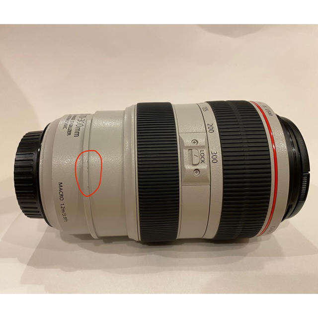 Canon EF70-300mm F4.5-5.6L IS USM