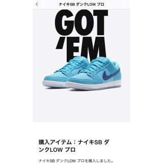 ナイキ(NIKE)のNIKE SB DUNK LOW PRO "BLUE FURY"(スニーカー)