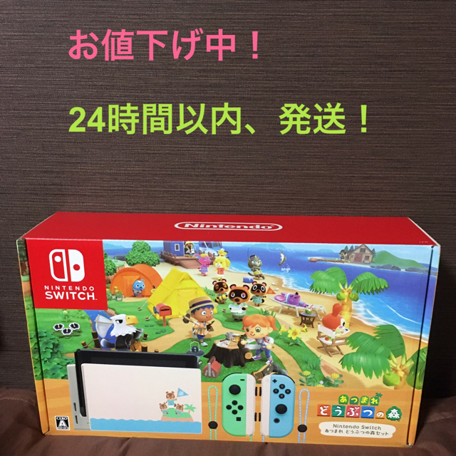 Nintendo Switch あつまれ どうぶつの森セット