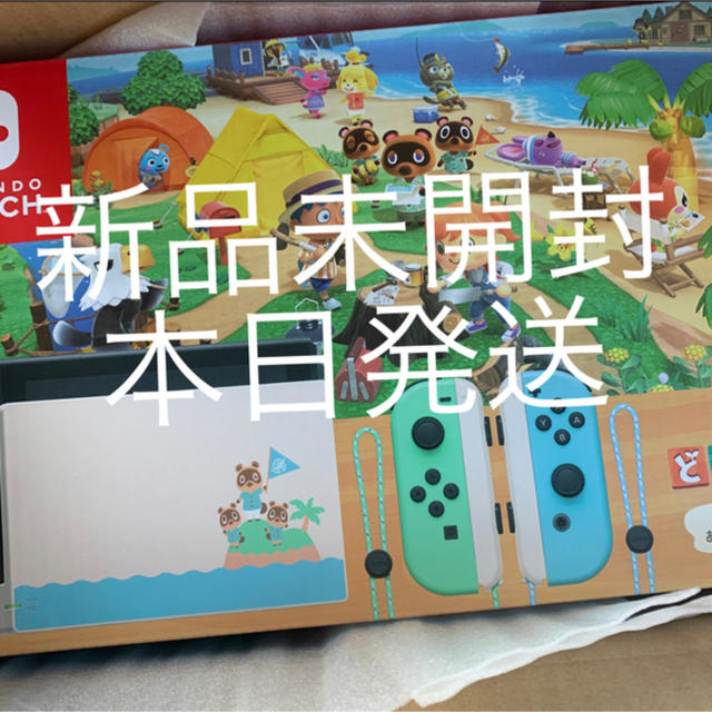 Nintendo Switch スイッチ　あつまれ どうぶつの森　同梱版