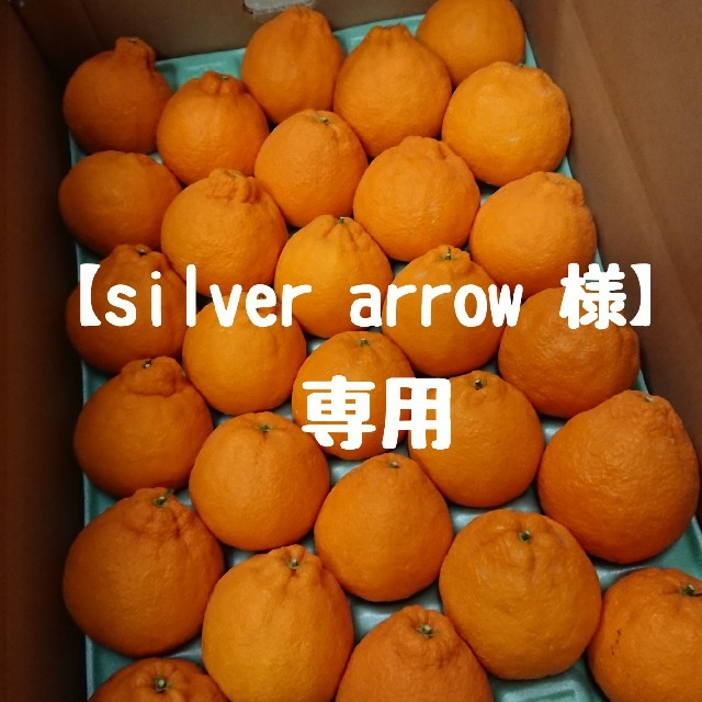 【silver arrow 様】専用ページ 食品/飲料/酒の食品(フルーツ)の商品写真