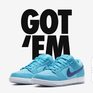 ナイキ(NIKE)のNike SB Dunk Low Blue Fury 28.5(スニーカー)