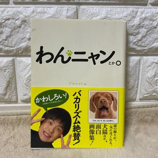 わんニャンとか。 犬猫ほか、面白画像集(アート/エンタメ)