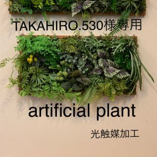 光触媒加工　抗菌消臭ウォールグリーン(その他)