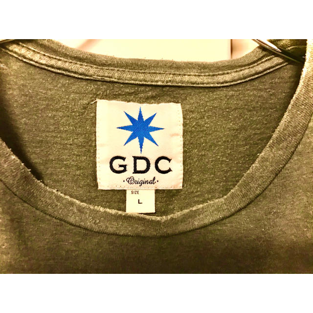 GDC(ジーディーシー)のGDC  グランドキャニオン　Tシャツ　メンズ メンズのトップス(Tシャツ/カットソー(半袖/袖なし))の商品写真