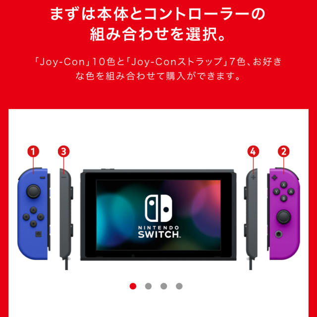 Nintendo switch 本体　カスタマイズモデル　カスタム　スイッチ