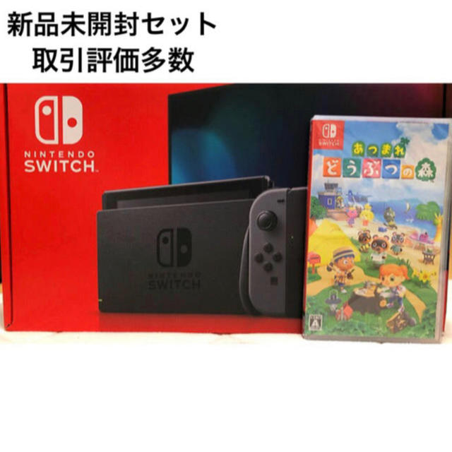 Nintendo Switch 本体  グレー　あつまれどうぶつの森　ソフト付き