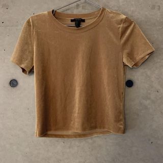 ザラ(ZARA)のリブベロアT 新品(Tシャツ(半袖/袖なし))