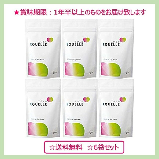 大塚製薬 エクエル パウチ120粒30日分 ×6袋 - その他