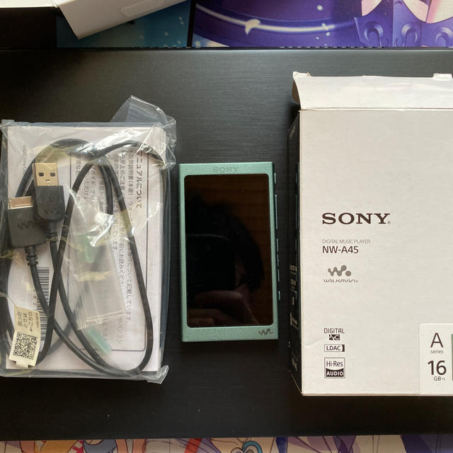 ソニー　SONY ウォークマン　NW-A45 16GBオーディオ機器