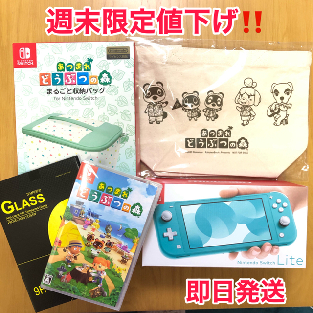 スイッチNintendo Switch lite ターコイズ 本体 どうぶつの森 収納