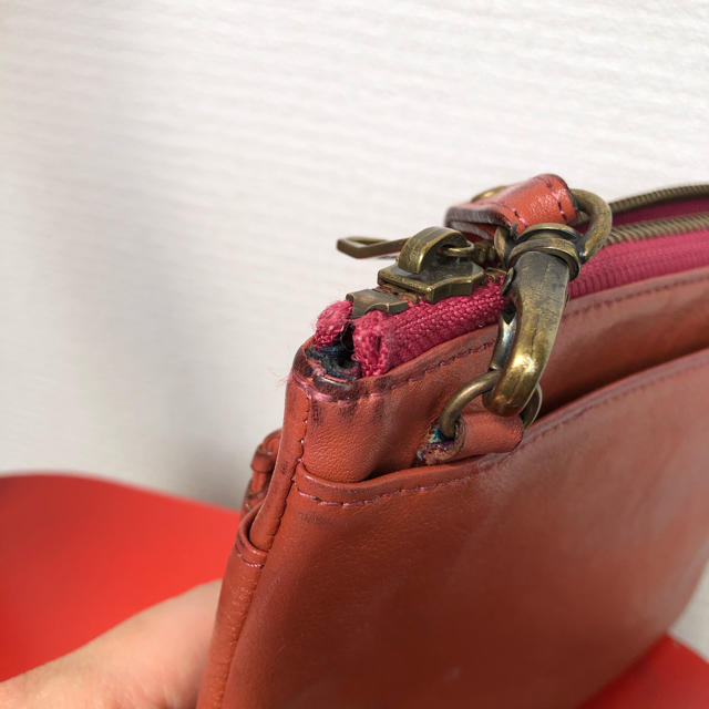 ANNA SUI(アナスイ)のアナスイ♡お財布ショルダー レディースのバッグ(ショルダーバッグ)の商品写真