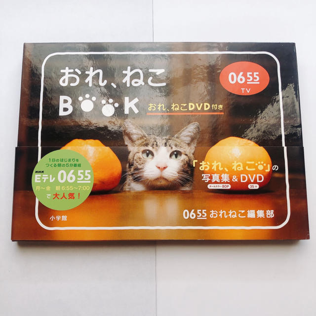 Eテレ　0655 おれ、ねこBOOK エンタメ/ホビーの本(その他)の商品写真