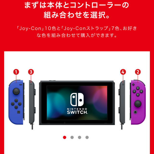 Nintendo switch 本体　カスタム カスタマイズモデル　スイッチ