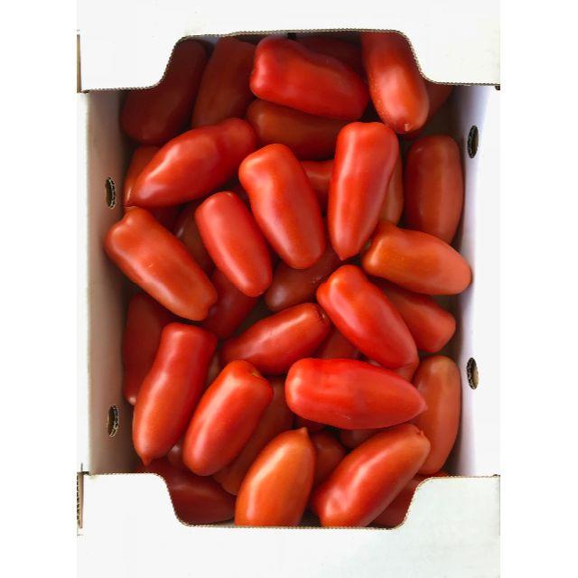 美肌トマト(サンマルツァーノリゼルバ)　1.6㎏ 食品/飲料/酒の食品(野菜)の商品写真