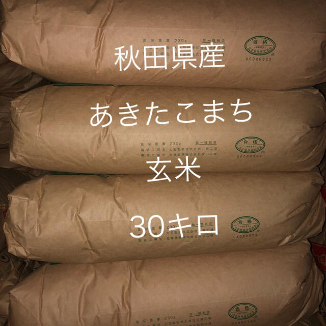 秋田県産　あきたこまち　玄米　30キロ 令和元年産