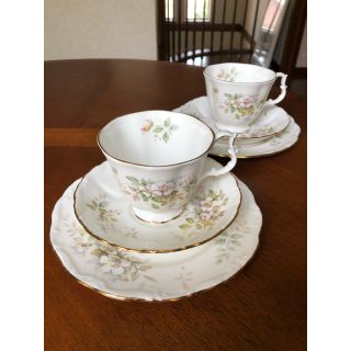 ロイヤルアルバート(ROYAL ALBERT)の【英国ビンテージ】ロイヤルアルバート★HAWORTH★トリオ　ペア(食器)