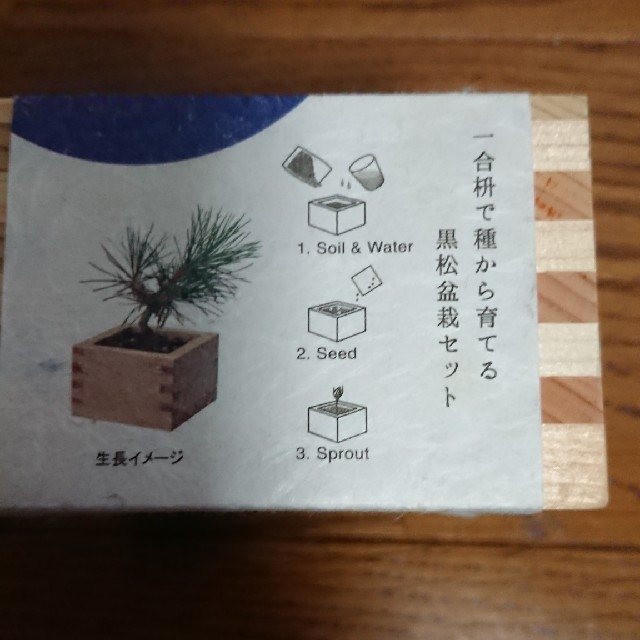 ソダテマス 黒松盆栽 種から育てる盆栽セットの通販 By かよっち S Shop ラクマ ソダテマス 黒松盆栽 種から育てる盆栽セットの通販 By かよっち S Shop ラクマ