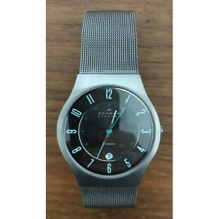 スカーゲン(SKAGEN)のSKAGEN 腕時計 FOREST（電池無し）Forest&Oceanシリーズ(腕時計(アナログ))