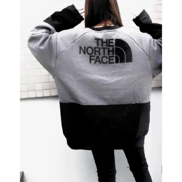 新品】THE NORTH FACEノースフェイススエットトレーナー海外限定アース