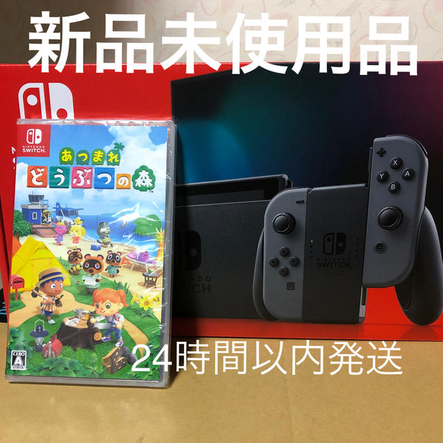 Nintendo Switch グレーあつまれどうぶつの森ソフトセット