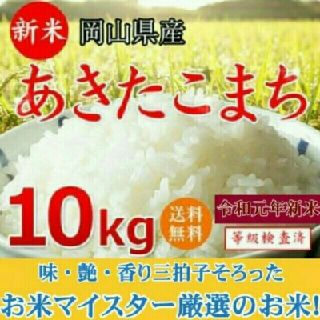 お米10kg(米/穀物)