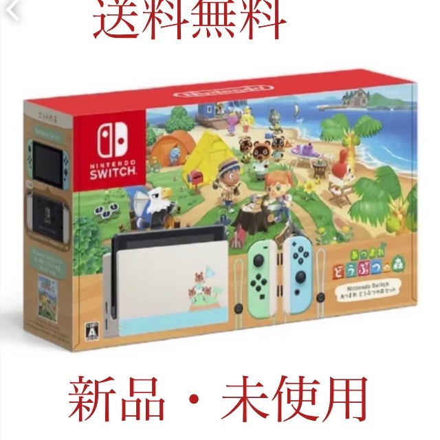 Nintendo Switch - Nintendo Switch　あつまれ どうぶつの森　同梱版④