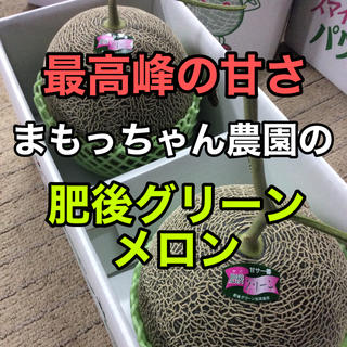 熊本県植木産『肥後グリーンメロン』4L 2玉入り(フルーツ)