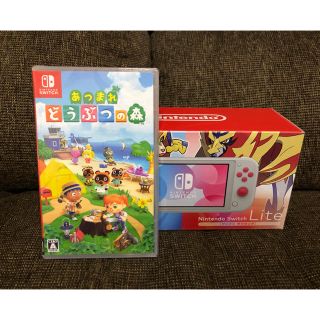 ニンテンドースイッチ(Nintendo Switch)の『❤︎』様 専用(その他)