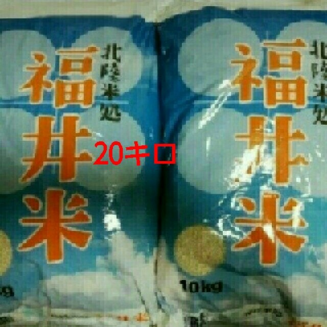 お米10kg×2袋 食品/飲料/酒の食品(米/穀物)の商品写真