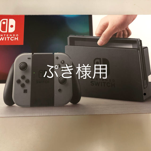 Nintendo Switch グレー 本体  HAC-S-KA セット　売り