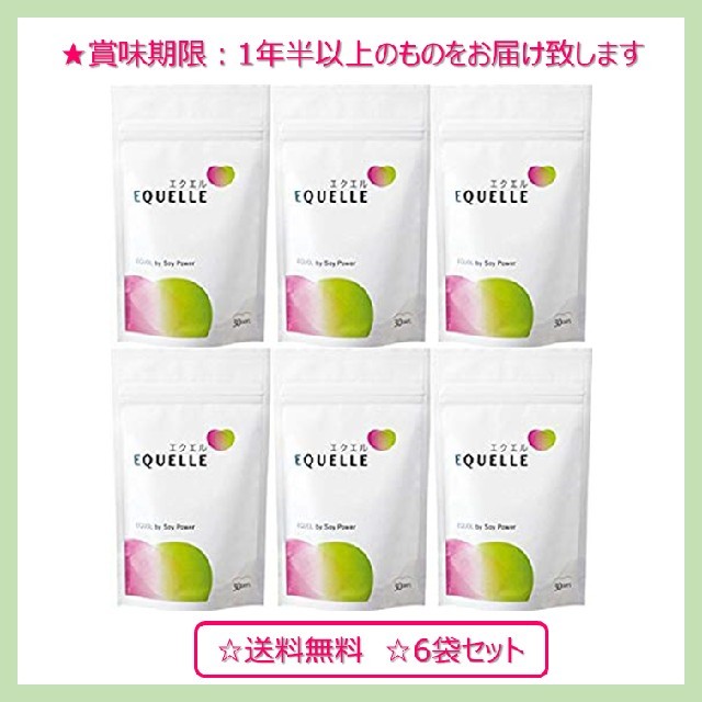 食品/飲料/酒大塚製薬 エクエル パウチ120粒30日分 ×6袋