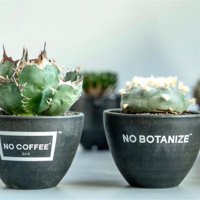 NO COFFEE × BOTANIZE × .blnk plasticの通販 by boban｜ラクマ