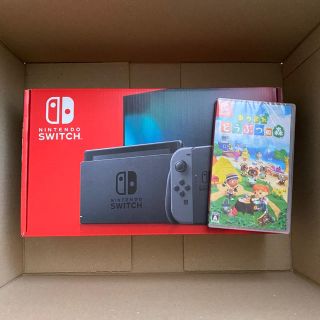 Nintendo Switch 新型 グレー どうぶつの森 セット(家庭用ゲーム機本体)