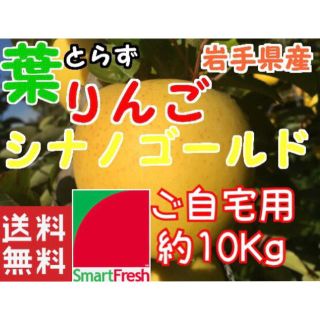 【送料込】スマートフレッシュ 葉取らずりんごシナノゴールド約10Kg【農家直送】(フルーツ)