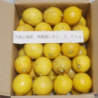 広島県大崎上島産無農薬レモン3.0kg(フルーツ)