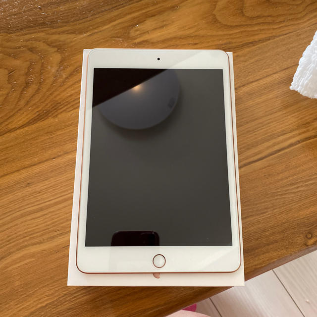 ipad mini5 64g