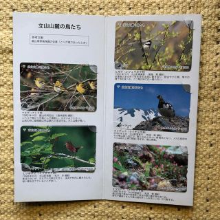 《デコポン様専用》立山山麓の鳥たち　東海道新幹線(鳥)