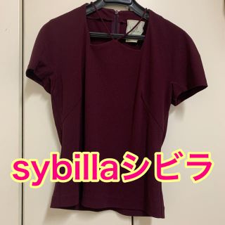 シビラ(Sybilla)のsybillaシビラ カットソー(カットソー(半袖/袖なし))