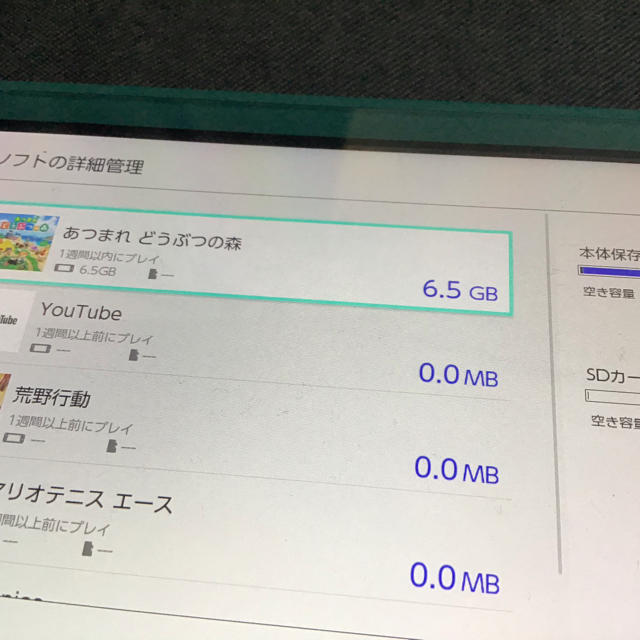 【Nintend Switch Lite】あつ森(DL版)+64gb+純正ケース