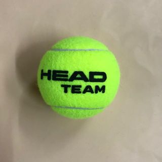 ウィルソン(wilson)のテニスボール硬式　新品(その他)