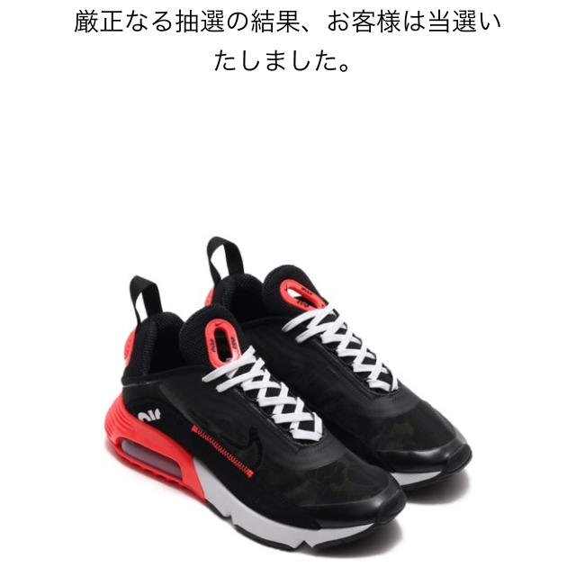 新品未使用　NIKE  atoms  AirMax2090 ダックカモ