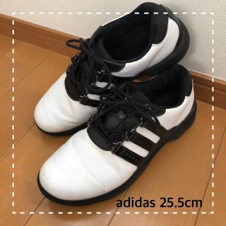 アディダス(adidas)のゴルフシューズ adidas 25.5cm (シューズ)