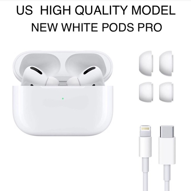 最新型 定価¥12000 USAMODEL WHITE PODS PRO PSE